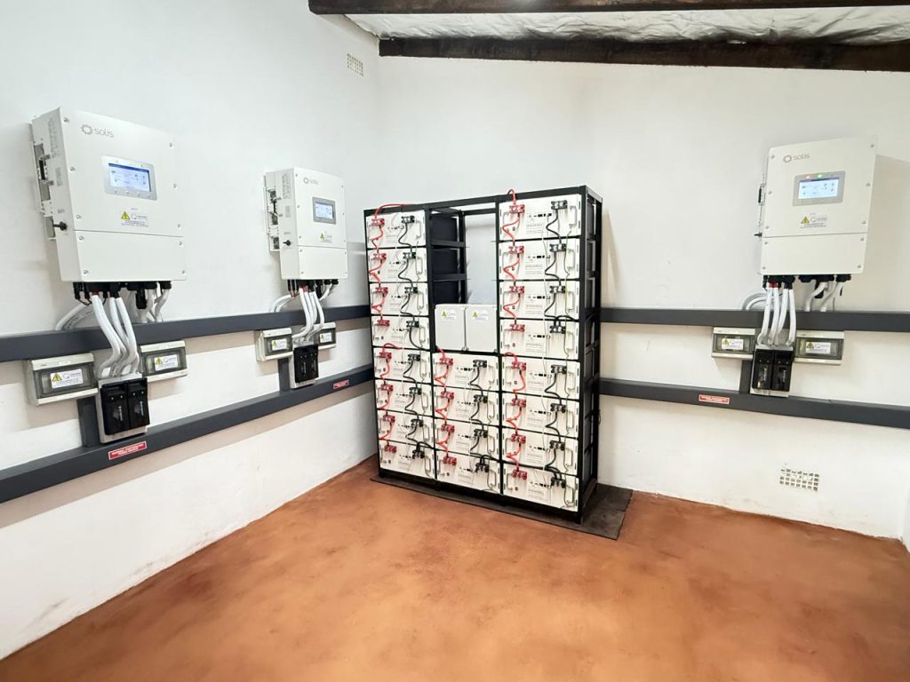 WhatsApp Image 2025-11-24 at 19.13.08