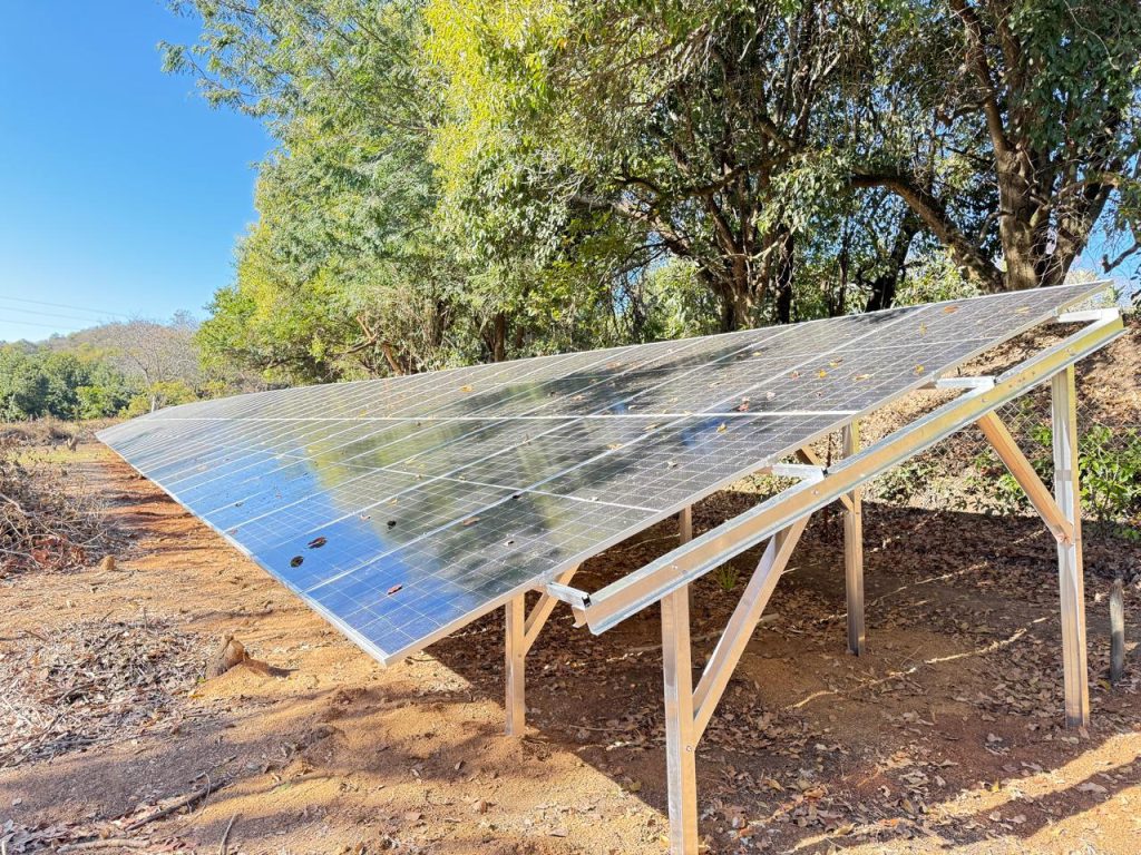 WhatsApp Image 2025-11-24 at 19.13.27