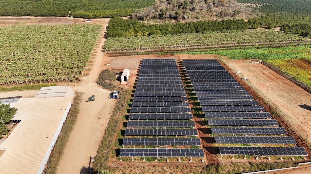 WhatsApp Image 2025-12-09 at 16.49.06