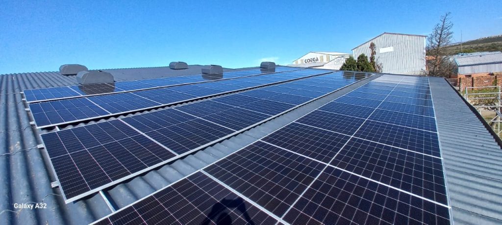 WhatsApp Image 2026-01-13 at 14.11.13