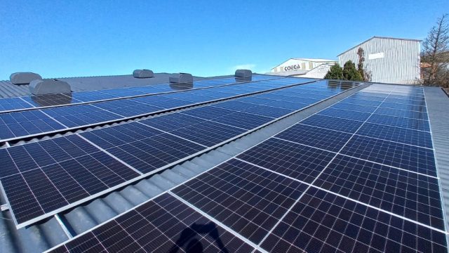 WhatsApp Image 2026-01-13 at 14.11.13